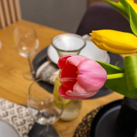 Modern 2br In Westpoint Close To Medical Uni *