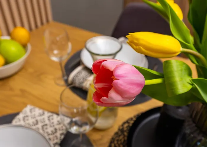 Modern 2br In Westpoint Close To Medical Uni *